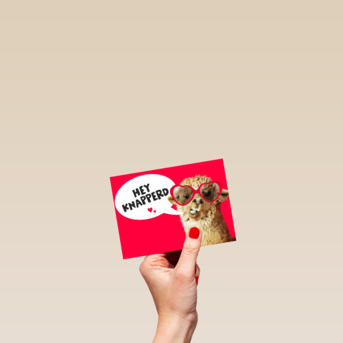 valentijnskaart grappig hey knapperd lama