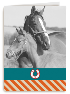 fotokaart voor paarden