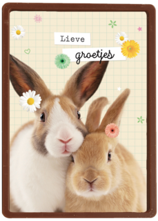 lieve groetjes kaart met konijnen en bloemetjes