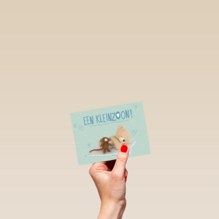 Een knuffelaapje voor jullie kleinzoon