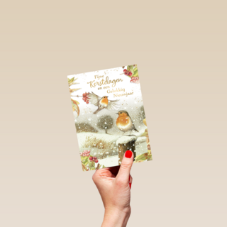Marjolein Bastin Kerstdagen Vogels