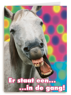 paard gang carnaval