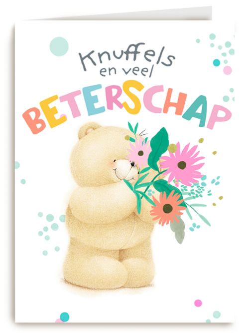 Forever Friends knuffels beterschap