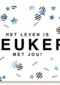 verjaardag kaart stijlvol het leven is leuker met jou