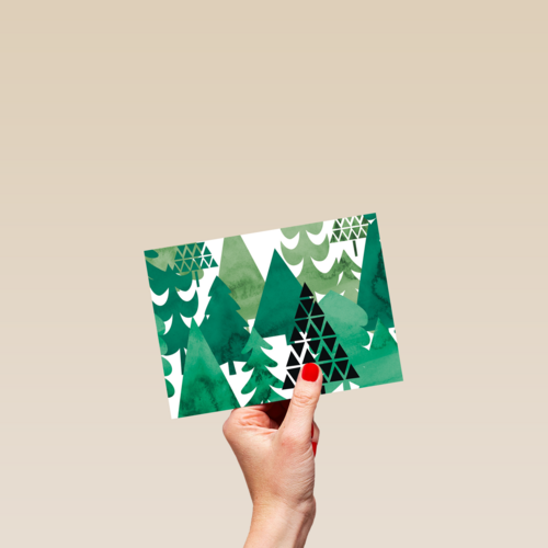 forest full of trees