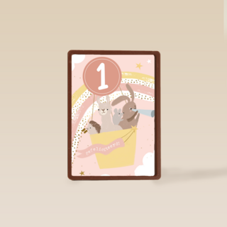 dieren in een luchtballon voor een eerste verjaardag