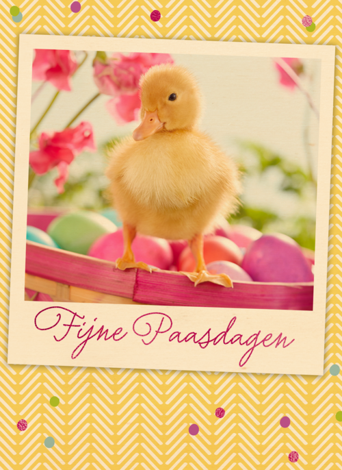 Houten Kaart Pasen | Hallmark | Houten Kaart Hallmark | Pasen | Pasen Kaart Klassiek Eendje