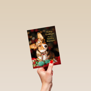 Kerstmis Hond Met Sjaal