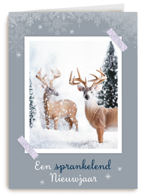 Kaart Hallmark | Nieuwjaar | 2 Herten In De Sneeuw