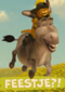 shrek feestje met donkey en puss in boots