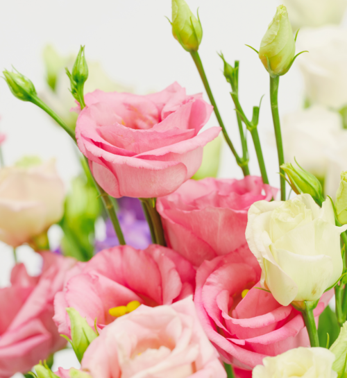 Boeket Bloemen Koninklijke Pracht