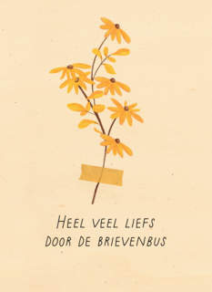 Bloemen heel veel liefs door de brievenbus