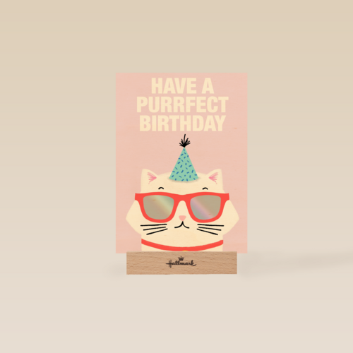 Verjaardagskaart tiener meisje Have a purrfect birthday
