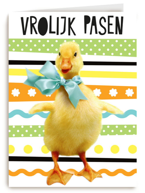 vrolijk paaskuiken