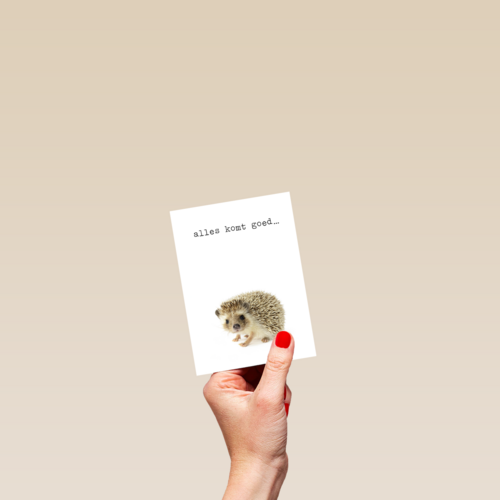 Sterkte kaart Furry Cuddles egeltje