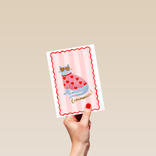 Communie coole lieve kat