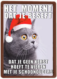 Kerstkaart Grappig Geen kerst met je schoonouders