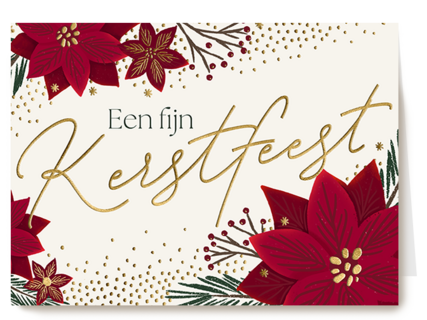 Een fijn kerstfeest kerstster