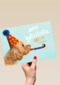 hond met feesthoedje dikke felicitatiegroet kaart