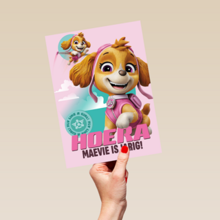 Paw Patrol Skye Hoera