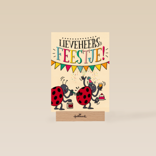 verjaardagskaart lieveheersfeestje