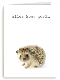 Sterkte kaart Furry Cuddles egeltje