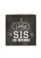 a little sis is born