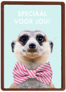 vaderdag kaart hip speciaal voor jou stokstaartje met strik