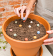 Hoera Het Is Feest Blossombs Box Met 9 Bloemzaden en DIY slinger
