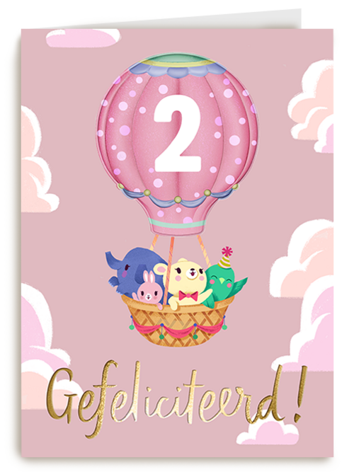 Kaart Hallmark | Kaart Met Leeftijden | Verjaardagskaart Meisje Roze Leeftijd