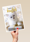 kerstknuffel van een kitten