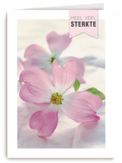 sterkte heel veel sterkte