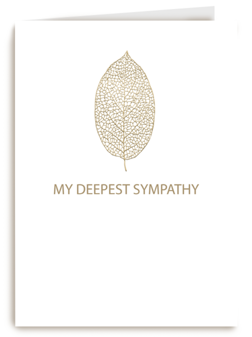 My deepest sympathy