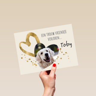 Condoleance rozen wit