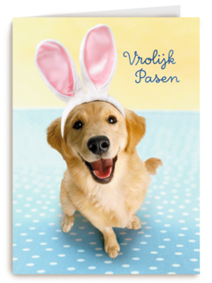 Pasen kaart hond met Paashaas oren