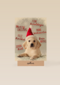 kerstpuppy met muts