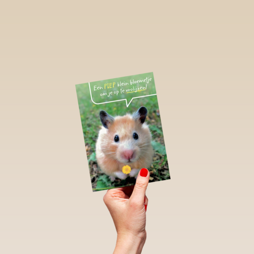 een piepklein bloemetje voor jou