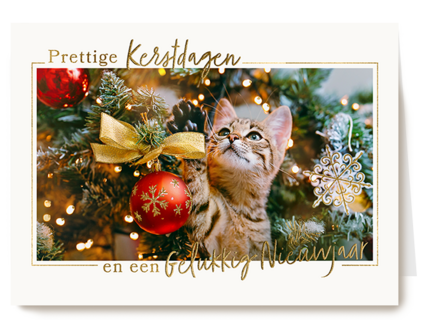 Kat tussen kerstballen
