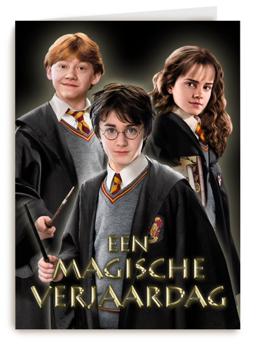 Harry Potter een magische verjaardag