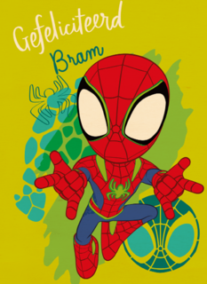 Gefeliciteerd Spidey and Friends