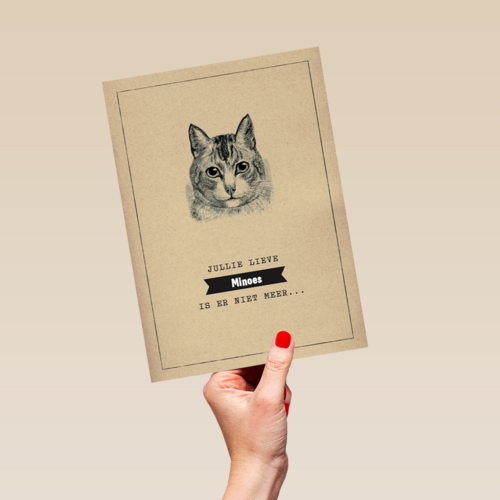 condoleance huisdier jullie lieve kat is er niet meer