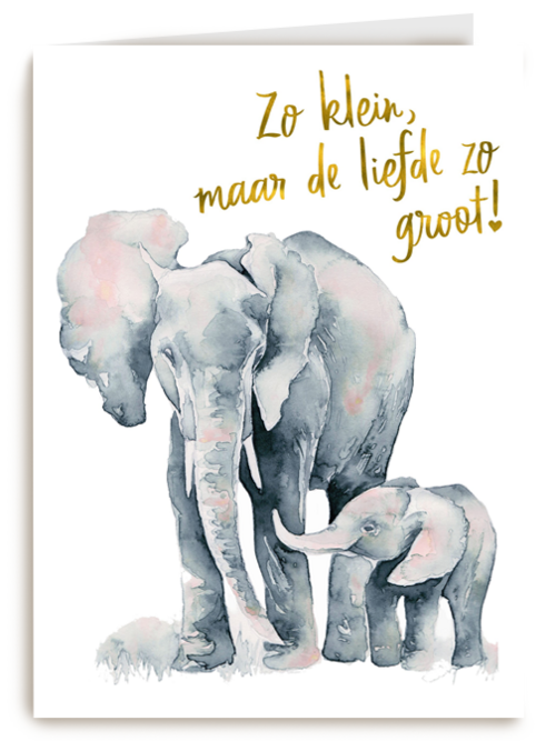 de grote liefde van een olifant