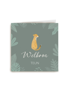 geboorte zoon cheetah welkom