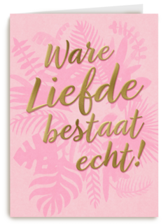 ware liefde bestaat echt
