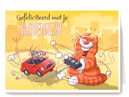 kat met bestuurbare auto