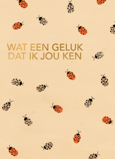 liefde vriendschap kaart wat een geluk dat ik jou ken