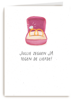 Jullie zeggen ja tegen de liefde verloving