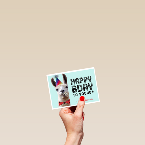 happy bady party alpaca