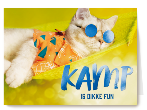 Kaart Hallmark | Op Kamp | Kamp Is Dikke Fun Kat