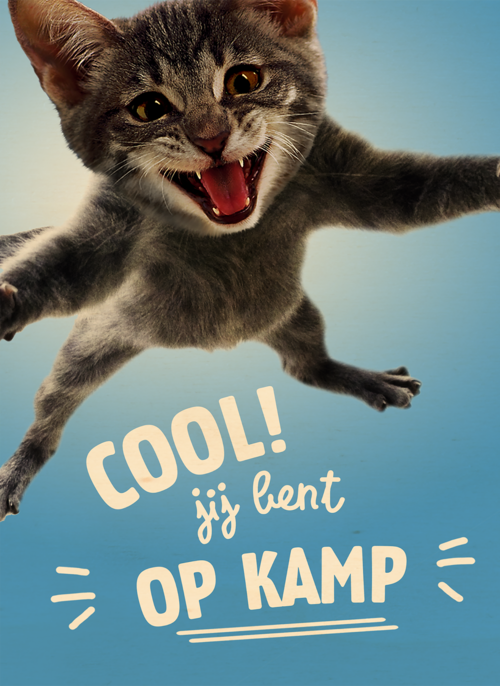 Houten Kaart Op Kamp | Houten Kaart Hallmark | Op Kamp | Cool Jij Bent Op Kamp Kat